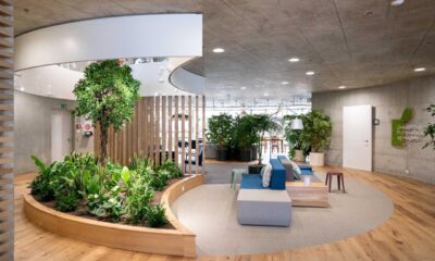 How biophilic design boosts mental wellness