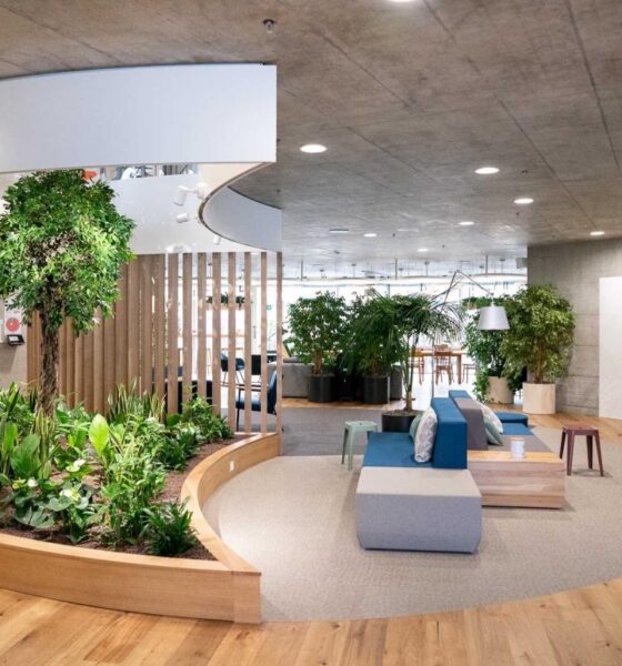 How biophilic design boosts mental wellness