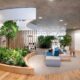 How biophilic design boosts mental wellness